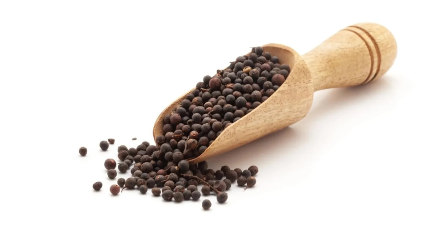 Vidanga Seed (Embelia ribes) used in Liv-top